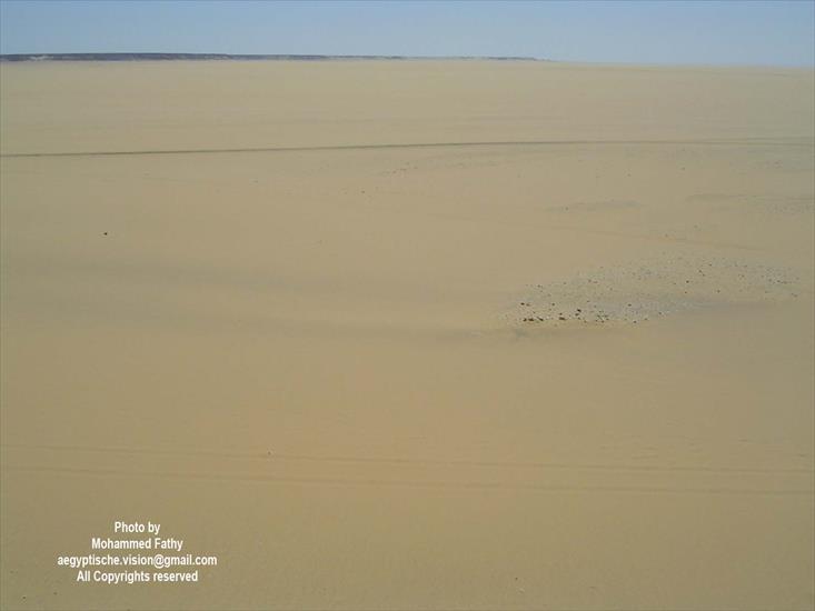 Desert - Desert 80.jpg