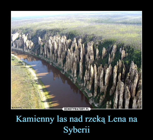 Demotywatory, Wiocha i Inne - Kamienny Las w Syberii.jpg