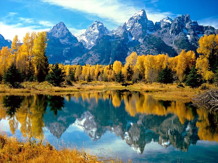 krzysiek16257 - Autumn Grandeur, Grand Teton National Park, Wyom.jpg