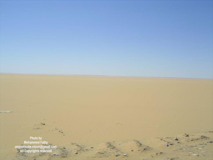 Desert - Desert 82.jpg