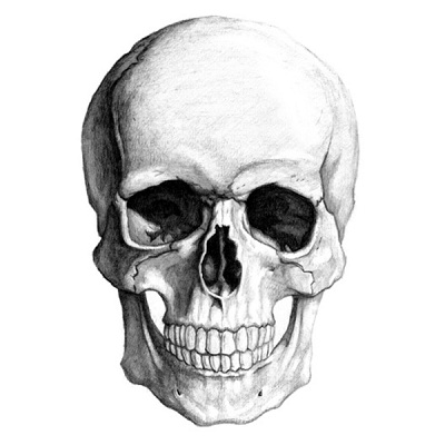 JPG - skull6.6.jpg