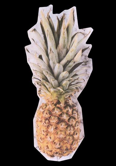 Fruits  Vegetables - ananas-03.png